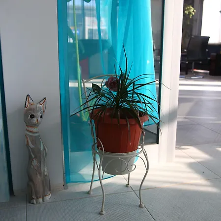 Hotel City 2* בורגאס